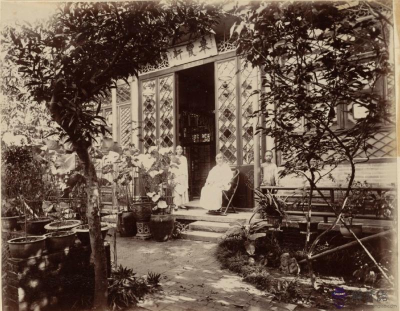 1893年屬什麼生肖:1893年是什麼生肖