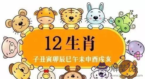 為什麼屬虎的女人命苦:屬虎的女人幾月會克夫