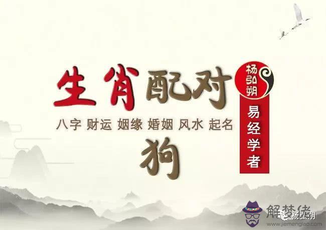1994年屬狗2017年姻緣:1994年屬狗~婚姻大事