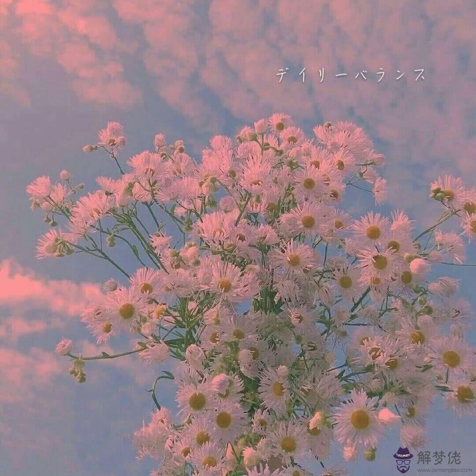 驚鴻一瞥的超溫柔句!白茶清歡無別事,我在等風...