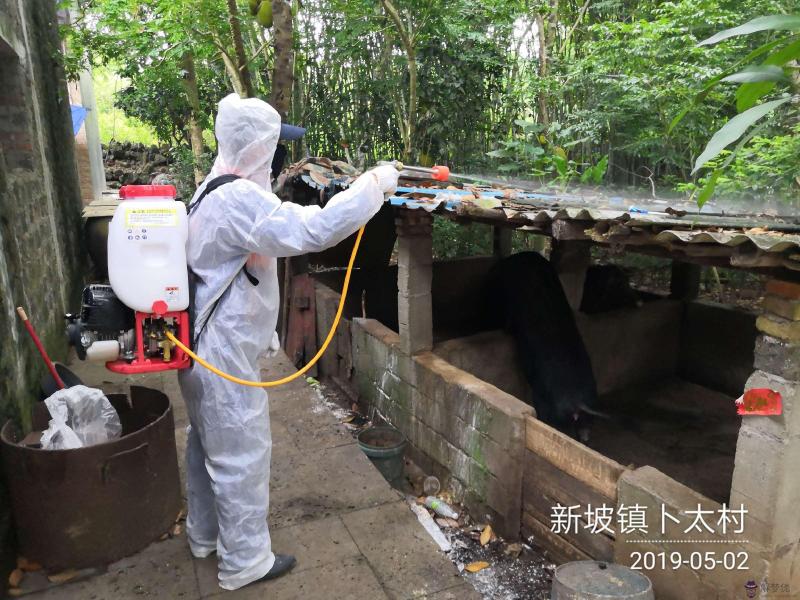 現在疫情時2月份預定的自由行還可以出行嗎?