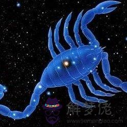 天蝎座屬哪個生肖最聰明:頭腦最聰明的生肖是哪個?