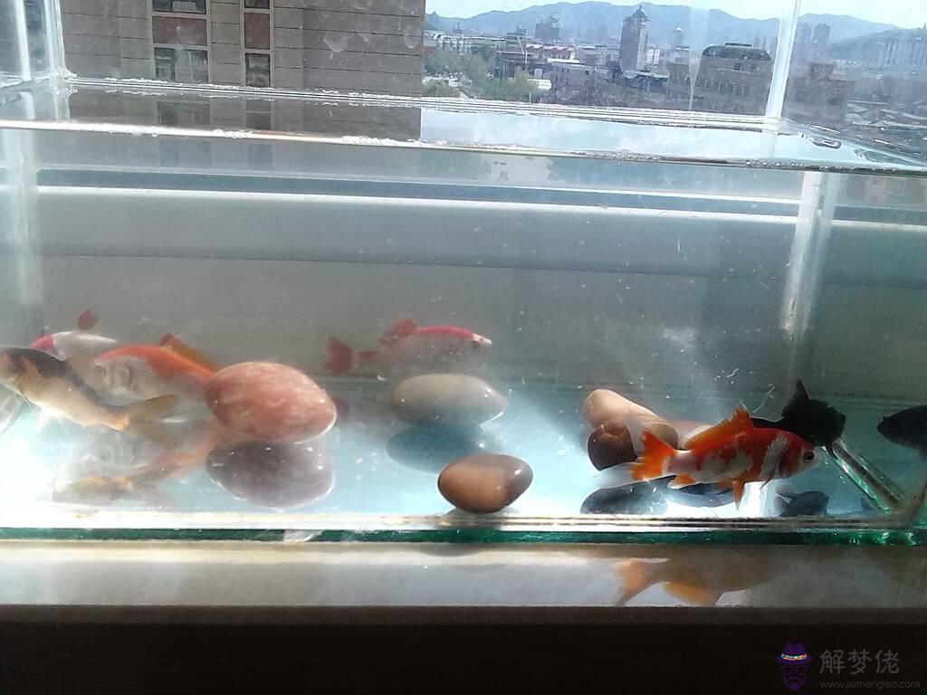 財土方法:怎麼招財方法?