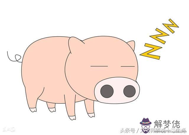 屬豬人命里帶二婚:為什麼說屬豬的人命好