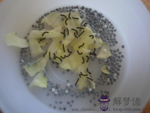 2010年屬什麼生肖:屬虎的和什麼屬相最配
