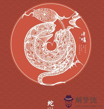 雞和蛇相配婚姻如何:蛇和雞相配嗎