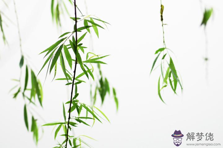 易奇八字準不準知乎:什麼算命軟件最準