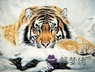 屬鼠1996澗下水命詳解:96年屬鼠的是什麼命