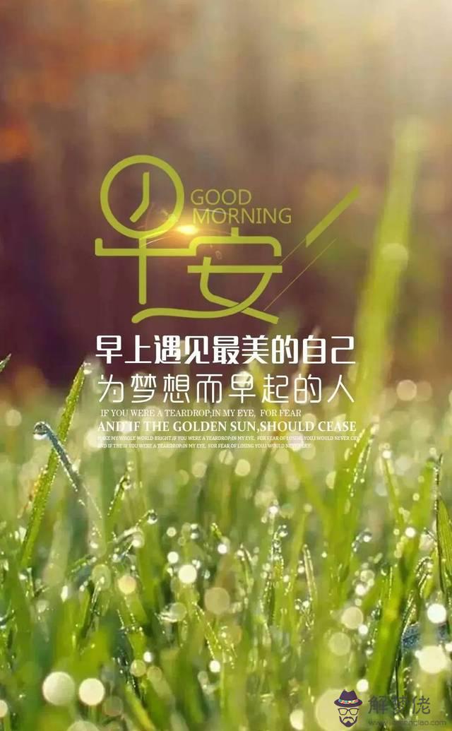 早安正能量簡單:形容正能量的早安詞語有哪些?