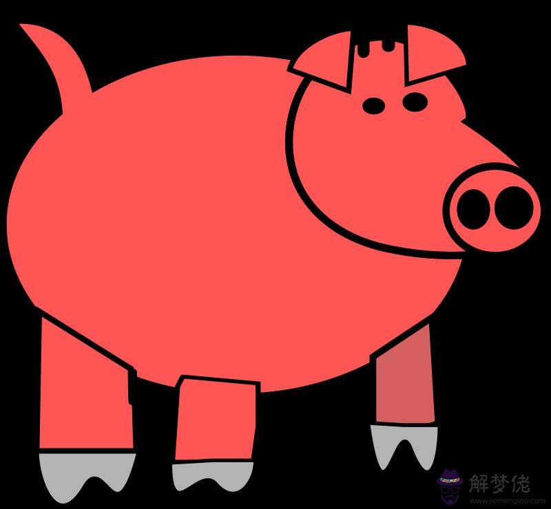 2020年屬豬是什麼命:2020年1月21日中午14點47出生屬豬的什麼命?