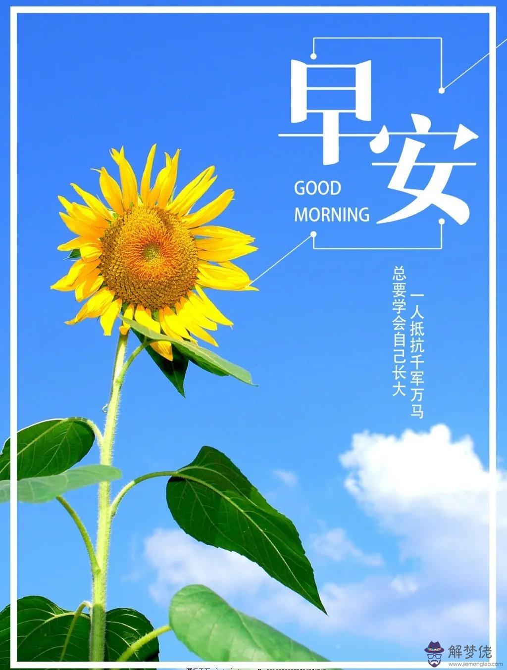 早安問候語正能量:最唯美的清晨問候語