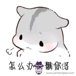 從朋友圈看出男人想你:在微信上,男人有哪幾種表現,說明他想你想得快“發瘋”了?