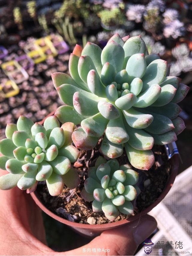 適合晚上發的朋友圈:晚上要回公司值班，我想發下朋友圈，要寫什麼文字好聽？