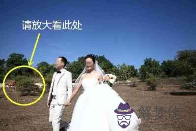 巴厘島婚紗攝影:巴厘島的start in bali婚紗攝影怎麼樣?