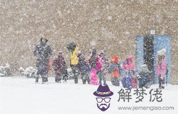 snowfall:snowfall?下雪這個dlc是什麼