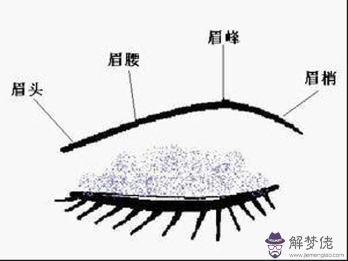 眉太濃怎麼辦:怎樣才能讓眉變得又黑又濃啊?天天畫眉好煩哦