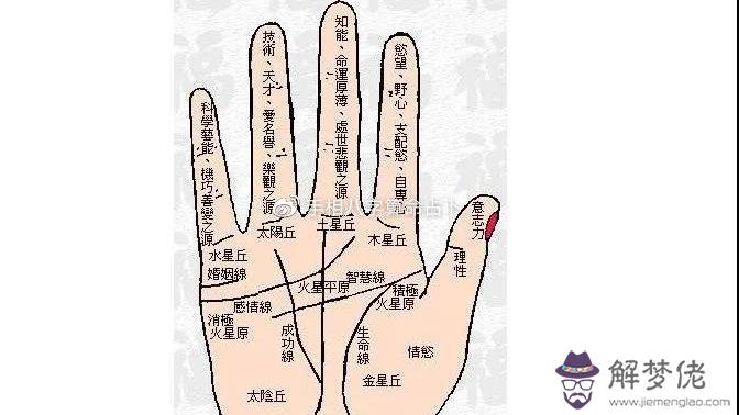 最富貴的12種手相特征:最富貴的12種手相特征有哪種