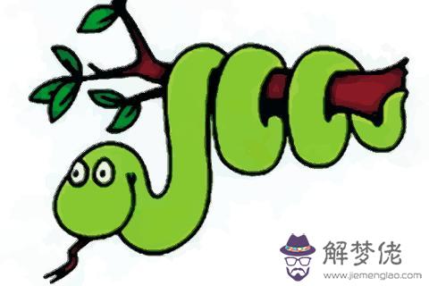 2020年屬蛇:2020年屬蛇的人可以走喪家去嗎?