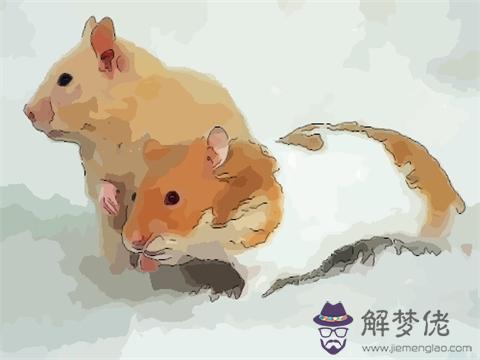 屬鼠的本命年戴什麼好:2020年鼠年本命年戴什麼吉祥物好運勢?