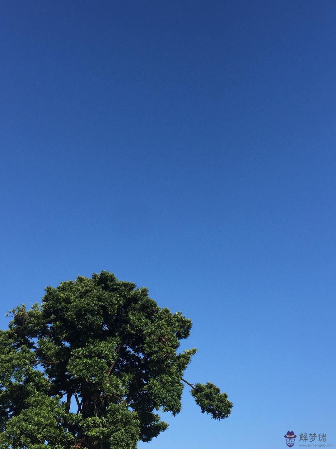 藍藍的天藍藍的夢 簡譜 或者小提琴譜子,五線譜也可以啊,只要是人看得懂的譜子~