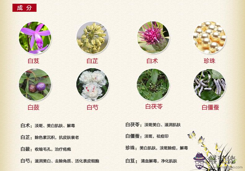 中藥美白面膜:中藥美白去斑面膜怎麼樣啊?