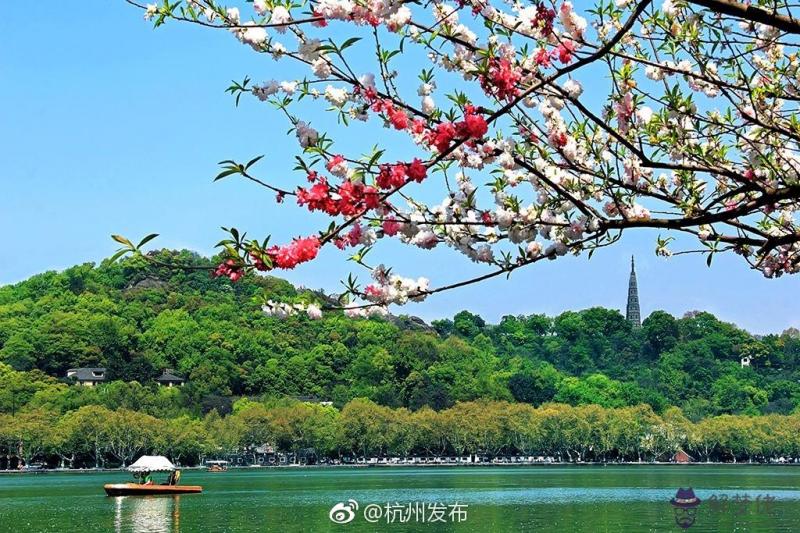 杭州好玩的地方:杭州有什麼好玩的地方適合年輕人去?