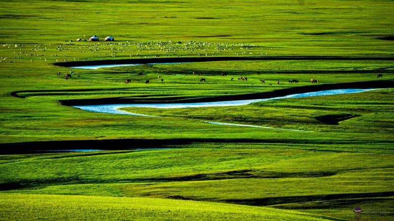 周大福手鐲2020新款:周大福黃金手鐲40克左右的圖片與價格