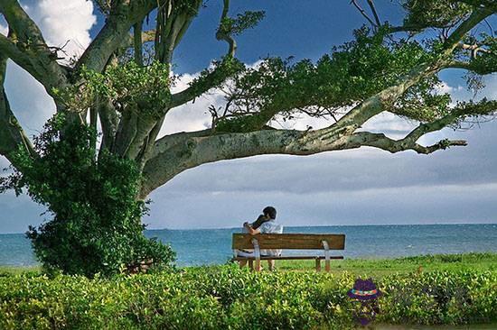 春節去哪里旅游好:過年去哪旅游比較好