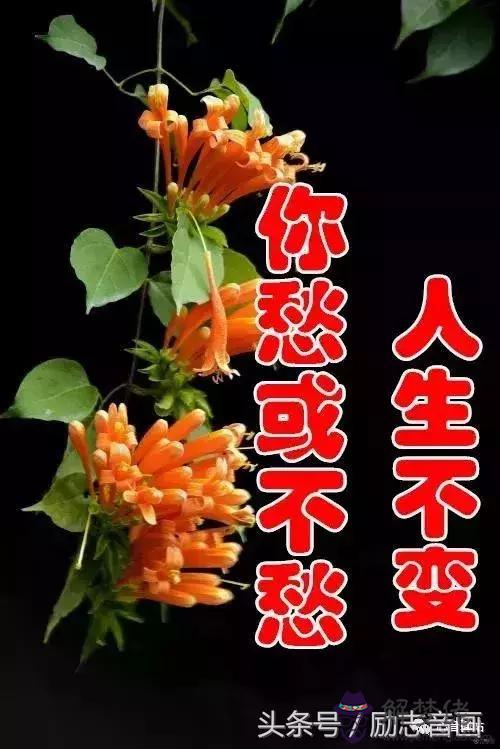 感恩朋友的最經典句子:感謝朋友的句子