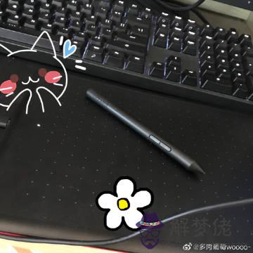 宅在家里的說說:宅在家里的搞笑句子有什麼？