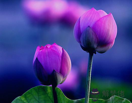 好聽的微信網名:好聽的微信網名有哪些？