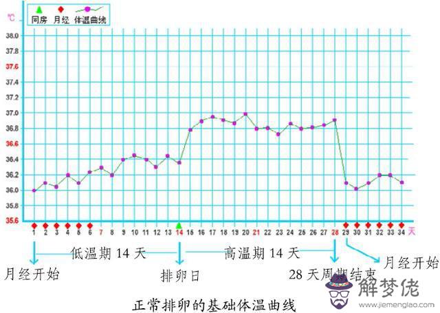 體溫變化:女性最好的體溫在多少度時最好