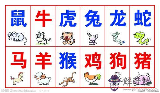 1969年屬相:1969年屬雞人是什麼命?