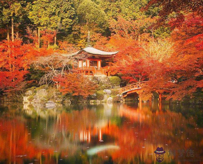 日本旅游帶什麼:去日本旅游,都需要帶什麼用品?需要什麼常識?
