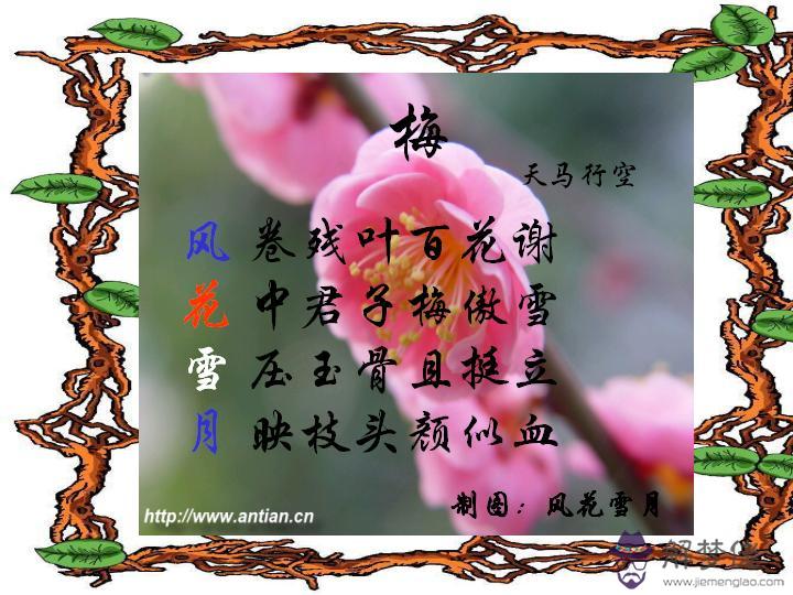 描寫愛情的詩詞:關于經典“愛情”古詩詞有哪些?