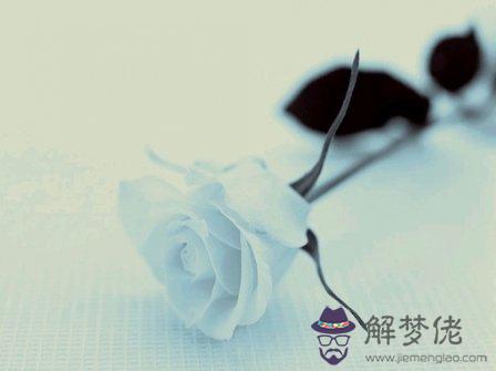 離別的句子說說或心情:關于最離別時的句子有哪些?