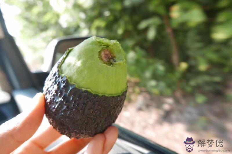 鱷梨是牛油果嗎:牛油果是熱性水果還是涼性水果?