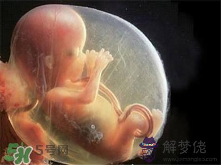 懷孕一個月吃什麼:孕婦懷孕一個月左右吃什麼好?