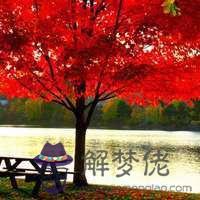 女人好運的微信名字:女人帶來好運的微信網名是什麼?