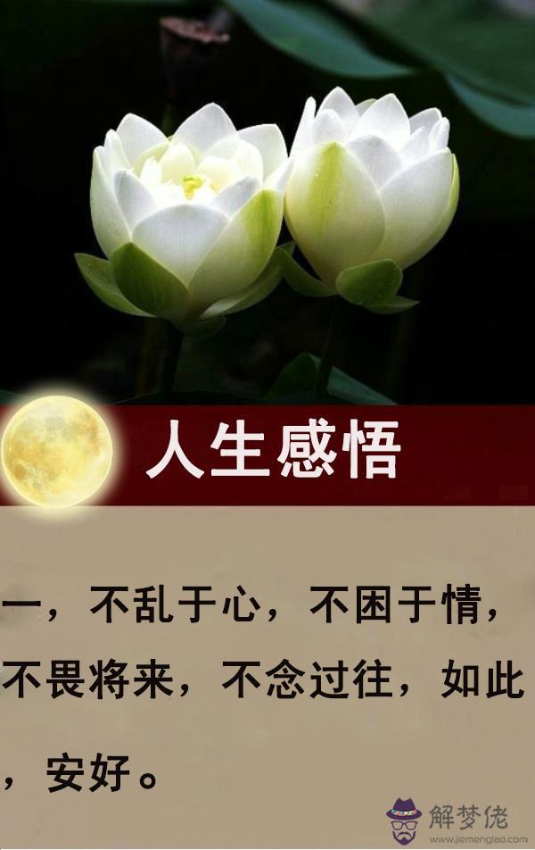 打動人心的句子:打動人心的句子有什麼?