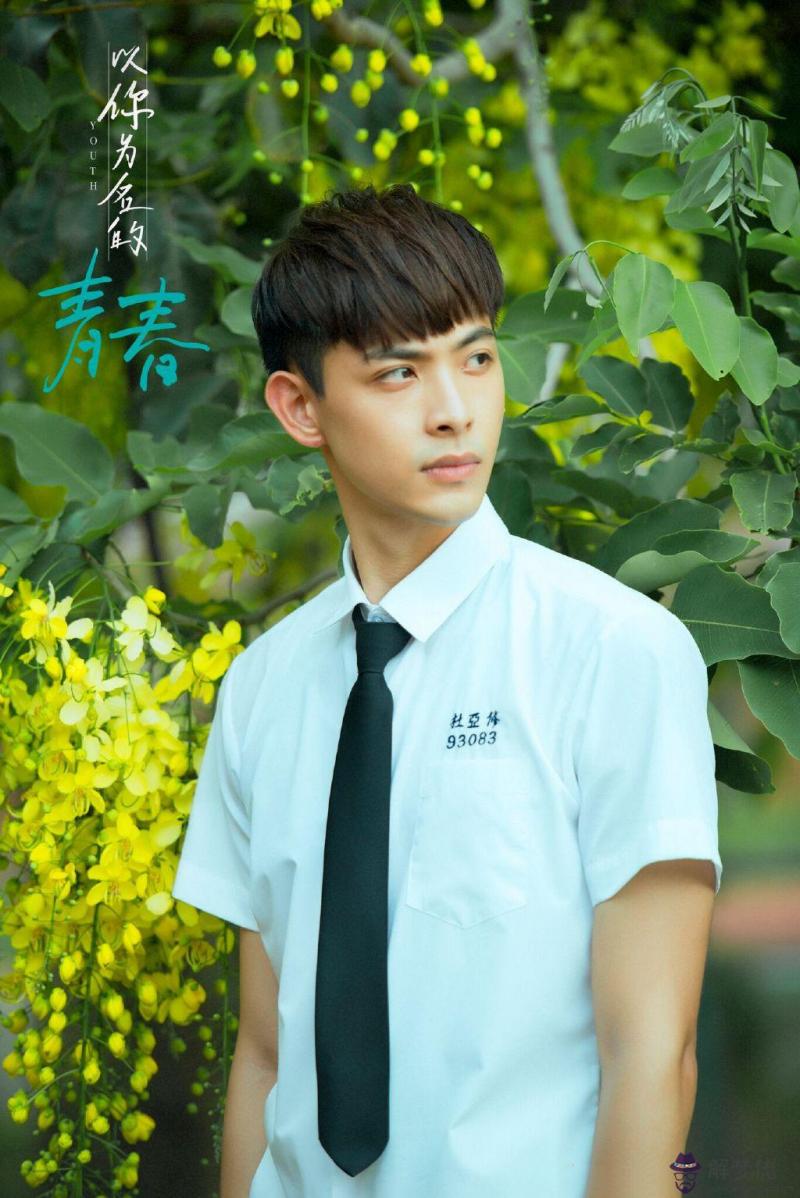 以你為名的青春:《以你為名的青春》主要演員有哪些?