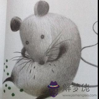 夢見老鼠爬到自己身上:夢見老鼠爬在身上,怎麼扯都扯不下來,這夢怎麼解