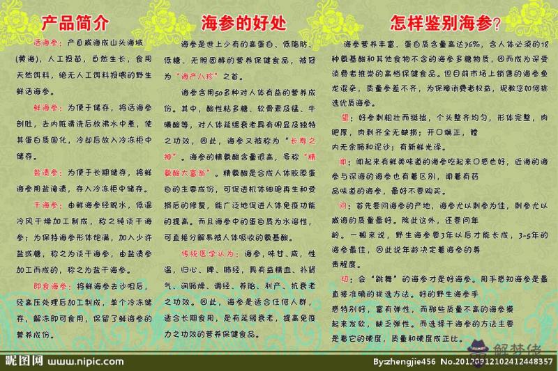 海參的作用與功效:海參有什麼功效?