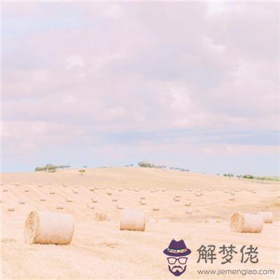 十一有什麼寓意:11是什麼意思