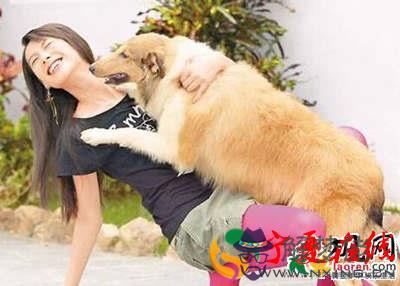 夢見狗咬自己腿:夢見被狗咬傷腿說明什麼？