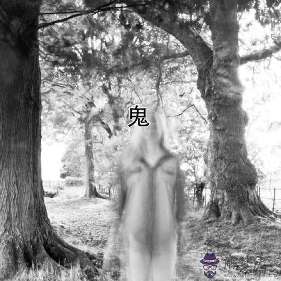世上真的有嗎:世界上真的有嗎？