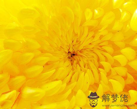 什麼時候開:什麼時候開花時間。