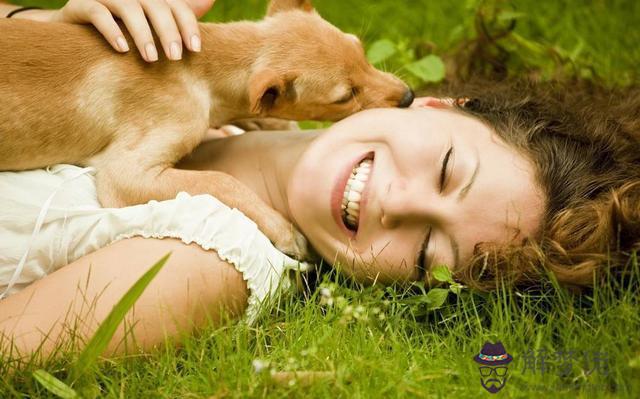 女生適合養什麼狗:適合女生養的小型狗狗