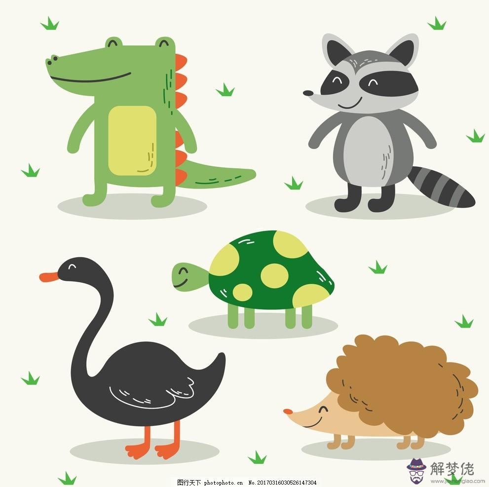 什麼屬相不能擺放大象:十二生肖是如何形成的?為什麼里面沒有獅子或大象什麼的?