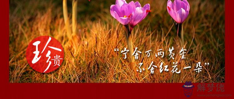 紅花禁忌人群:什麼人不能吃紅花呢?